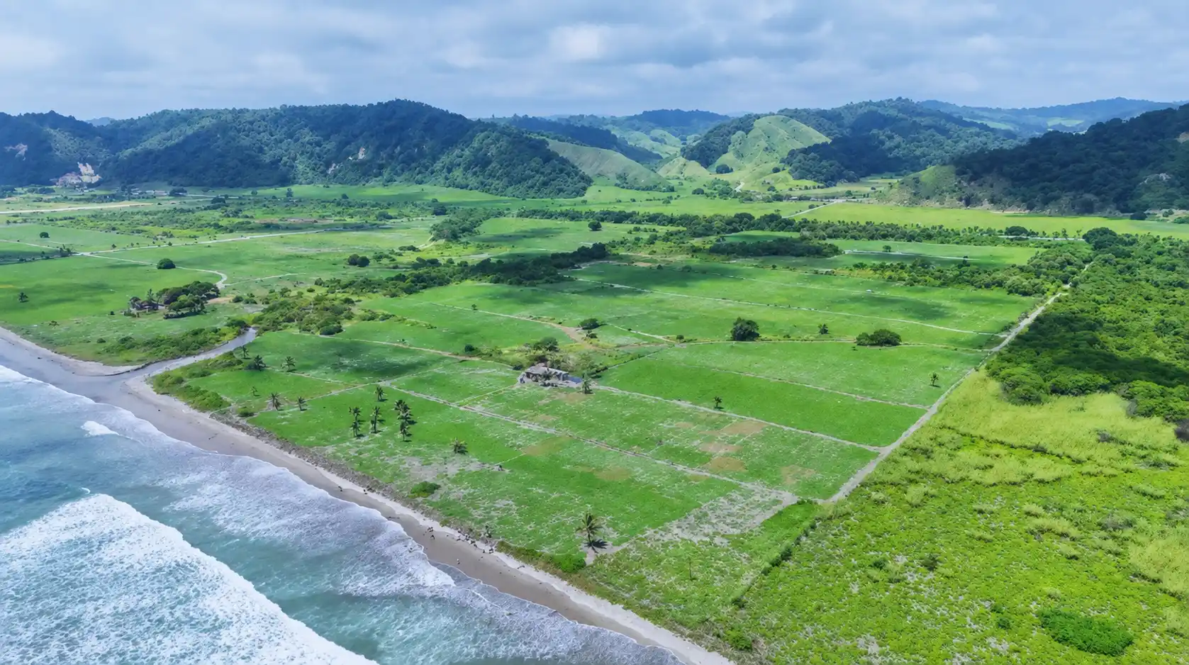 Vista de la playa y el entorno natural de los terrenos en Manabí